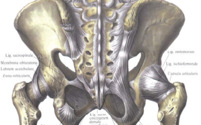 Esiste la disfunzione sacroiliaca?
