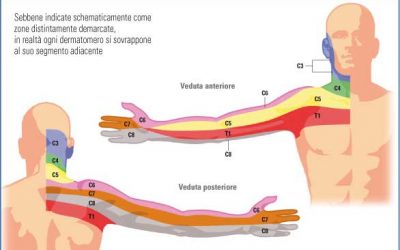 Falsi miti sul ghiaccio: è davvero utile in fase acuta e post traumatica? Riduce davvero il gonfiore?