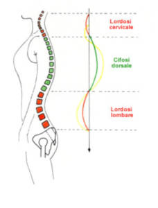 lordosi e cifosi