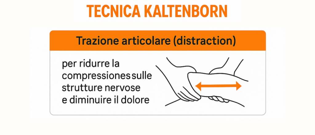 Tecnica Kaltenborn e cervicalgia cosa è e quando può essere utile nel dolore cervicale o nella radicolopatia cervicale trazione articolare distraction