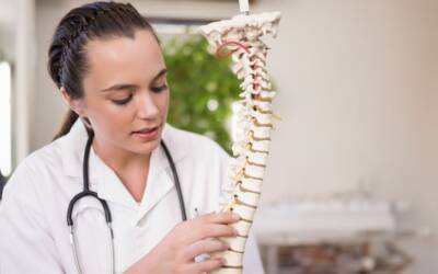 La lordosi non è una malattia: è una curva fisiologica fondamentale per la salute della colonna